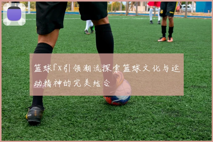 篮球fx引领潮流探索篮球文化与运动精神的完美结合