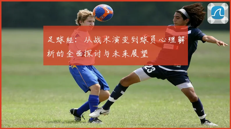 足球经：从战术演变到球员心理解析的全面探讨与未来展望