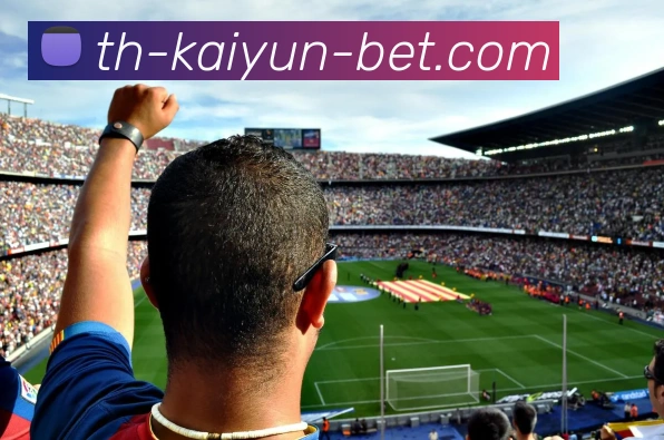 开云官网APP 封面图